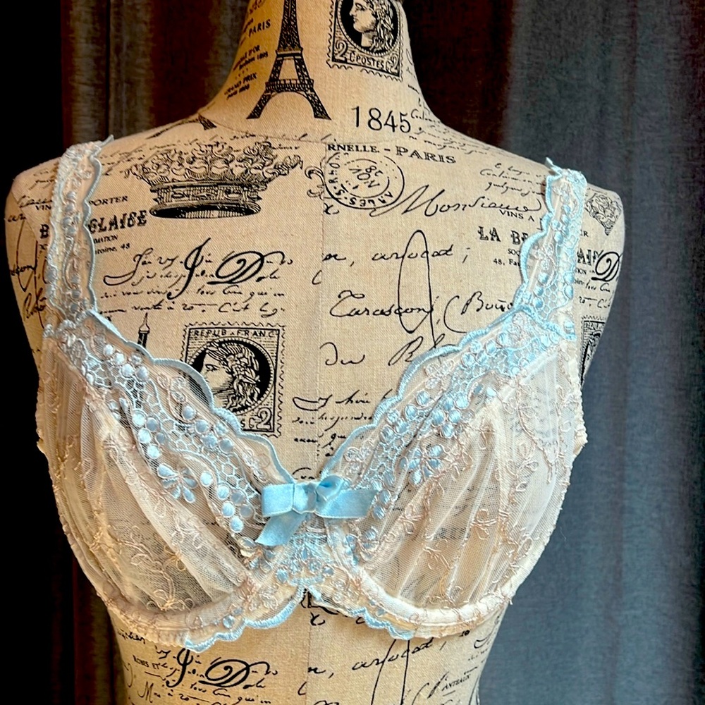 New, embroidered ivory and lt blue, size 32dd